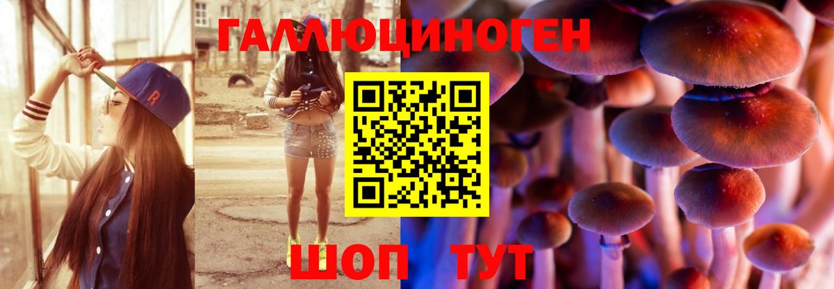 Псилоцибиновые грибы прущие грибы  Вход с VPN  закладка  Миллерово 